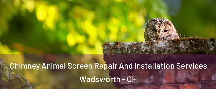  Chimney Animal Screen Repair And Installation Services Wadsworth - OH