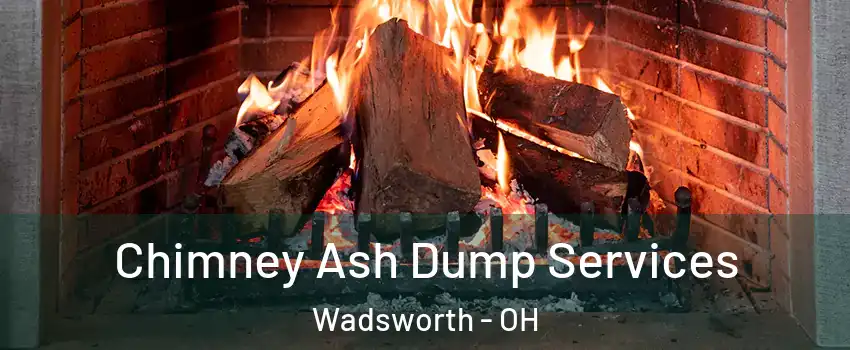  Chimney Ash Dump Services Wadsworth - OH