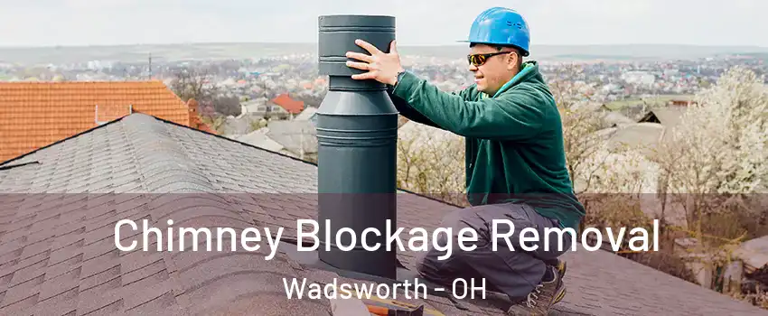  Chimney Blockage Removal Wadsworth - OH