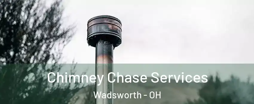  Chimney Chase Services Wadsworth - OH