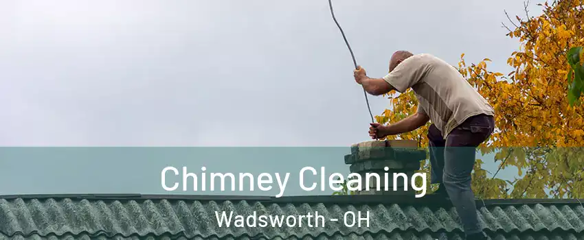  Chimney Cleaning Wadsworth - OH