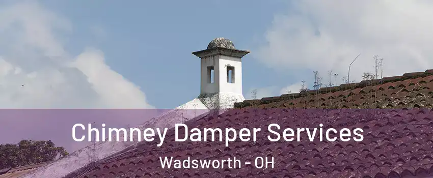  Chimney Damper Services Wadsworth - OH