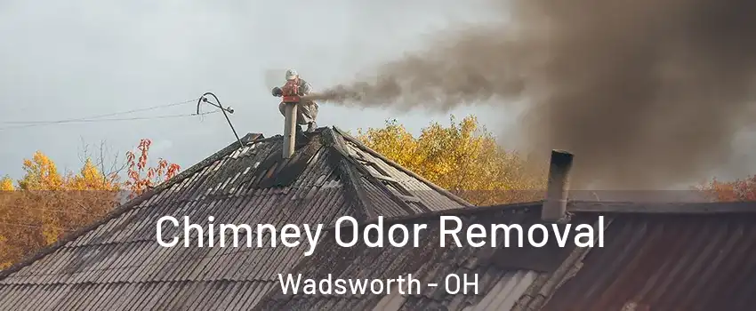  Chimney Odor Removal Wadsworth - OH