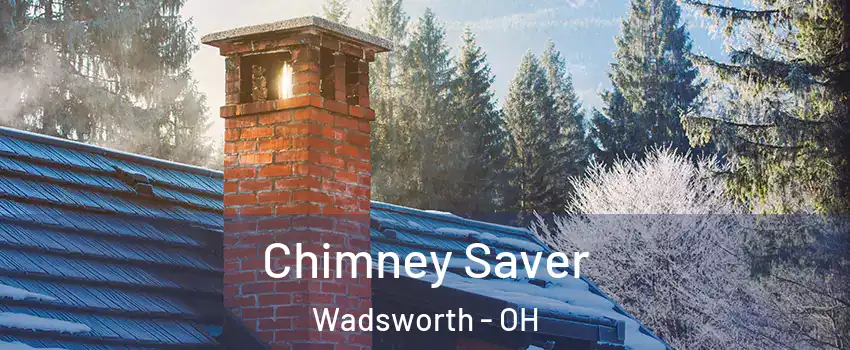  Chimney Saver Wadsworth - OH