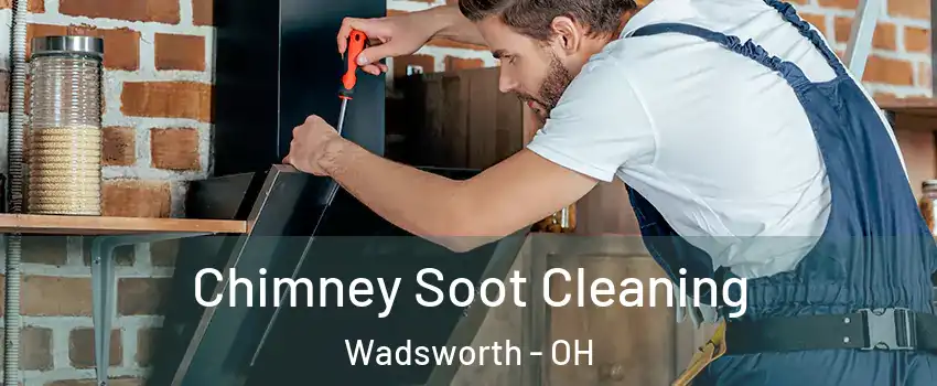  Chimney Soot Cleaning Wadsworth - OH