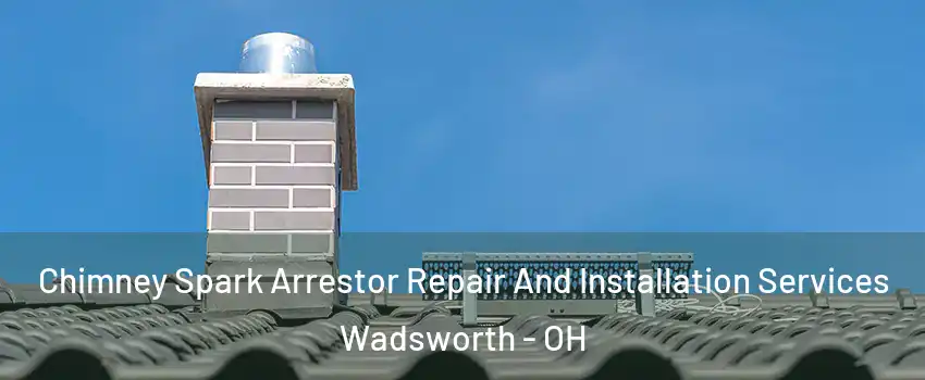  Chimney Spark Arrestor Repair And Installation Services Wadsworth - OH