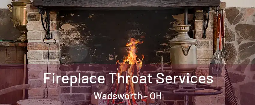  Fireplace Throat Services Wadsworth - OH