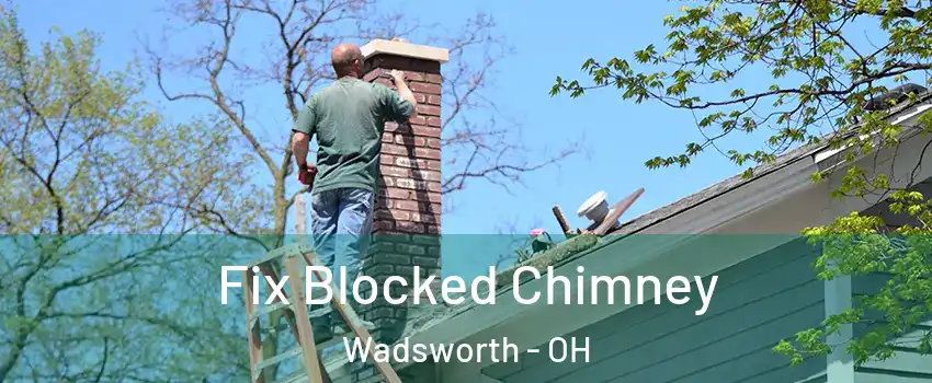 Fix Blocked Chimney Wadsworth - OH