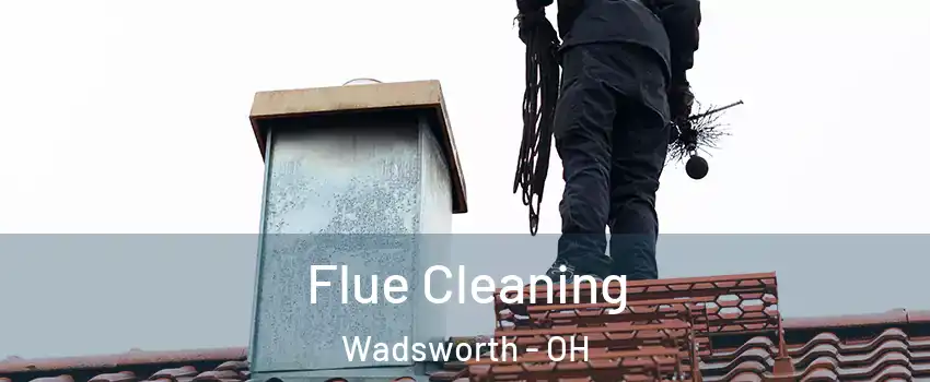  Flue Cleaning Wadsworth - OH