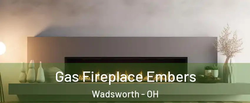  Gas Fireplace Embers Wadsworth - OH