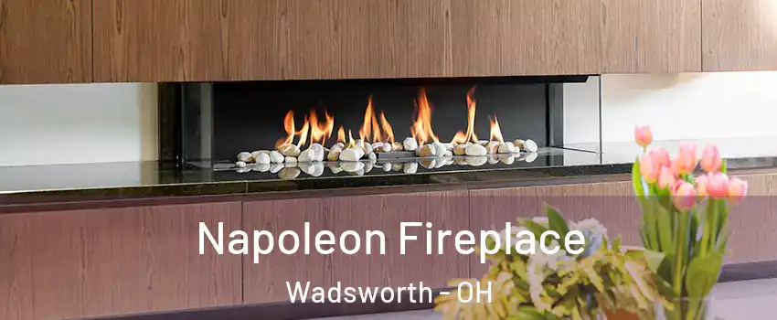  Napoleon Fireplace Wadsworth - OH