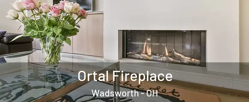 Ortal Fireplace Wadsworth - OH